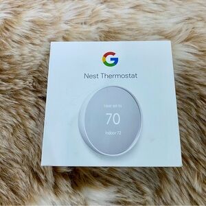 Google Nest Thermostat Snow
